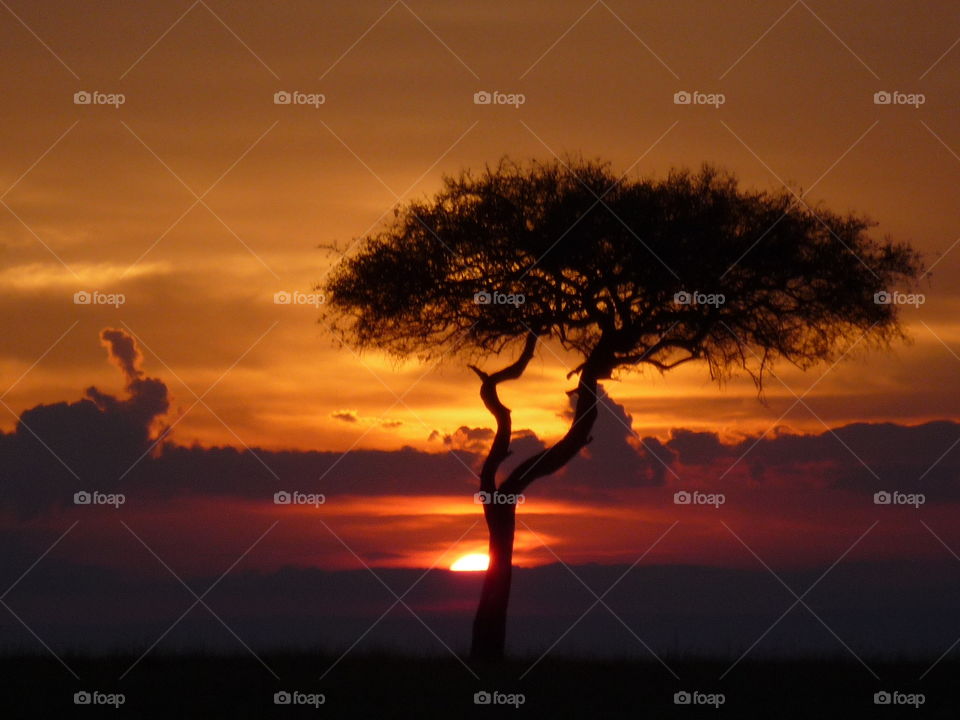 Sunset at Masai Mara