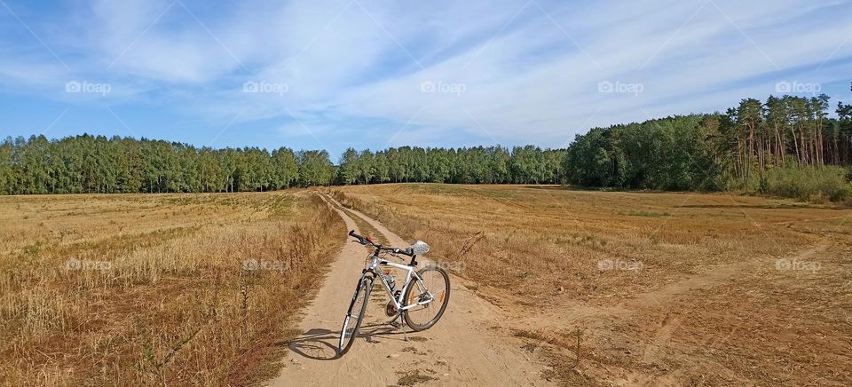 one bike on a rural road beautiful nature landscape