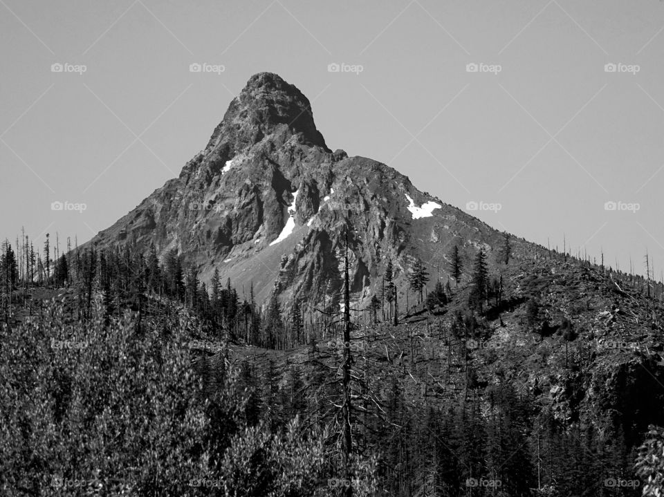 My. Washington in Oregon’s Cascade Mountain Range 