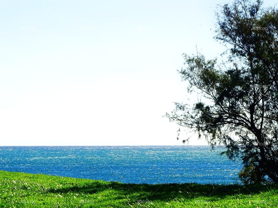 The contrast of colors