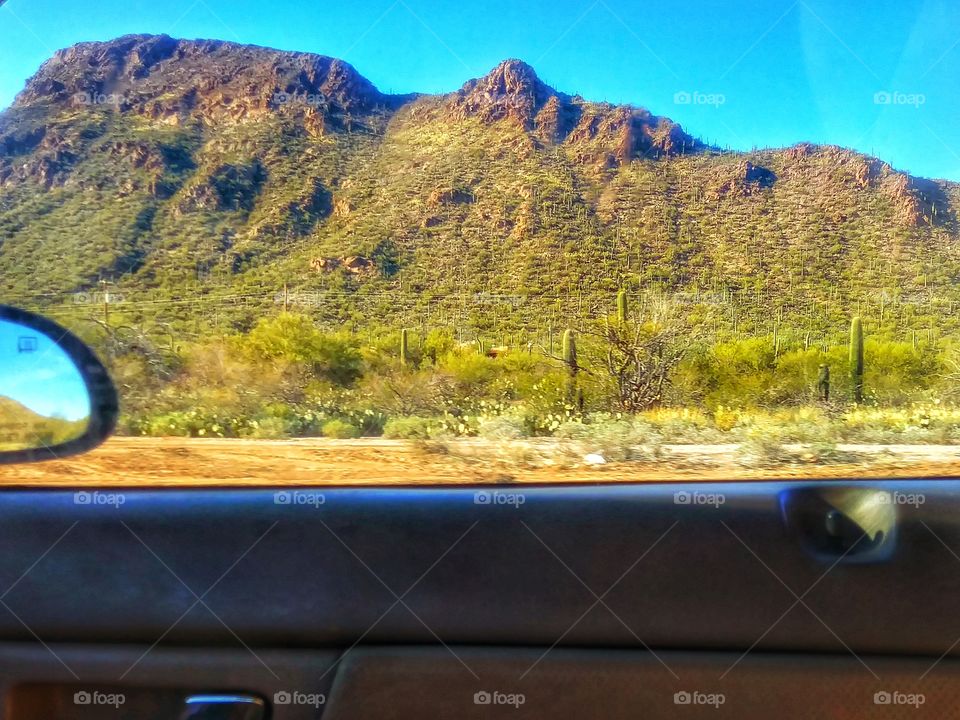 Saguaros on the Mountain from Car