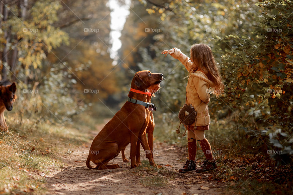 Little girl playing with dogs in an autumn park