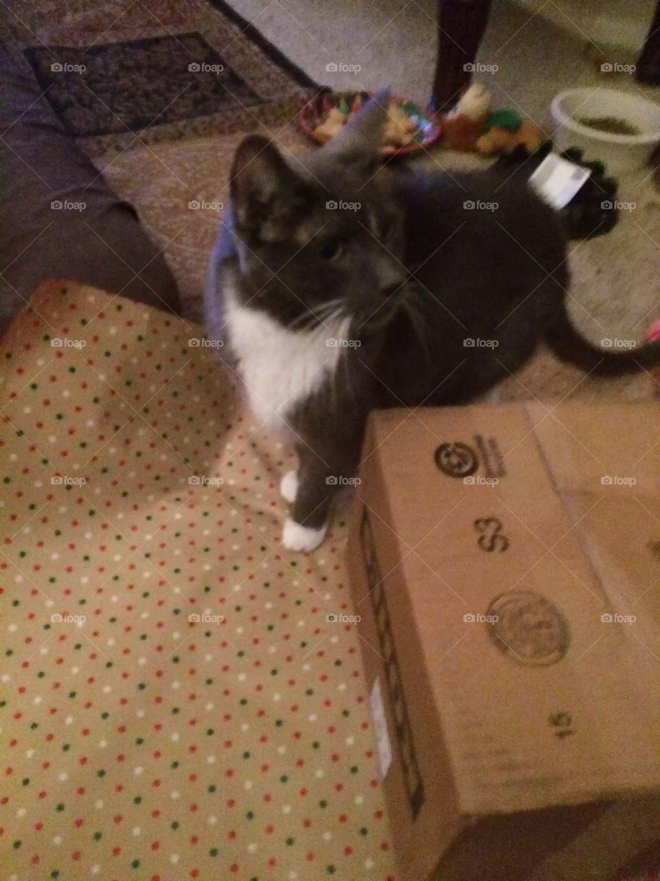 Every time I take out the wrapping paper....