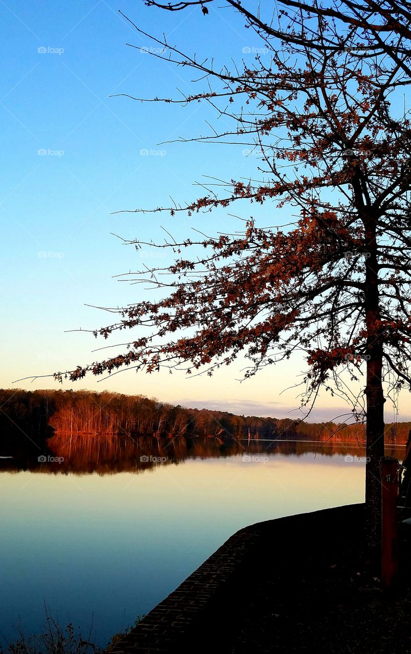 morning on the lake.