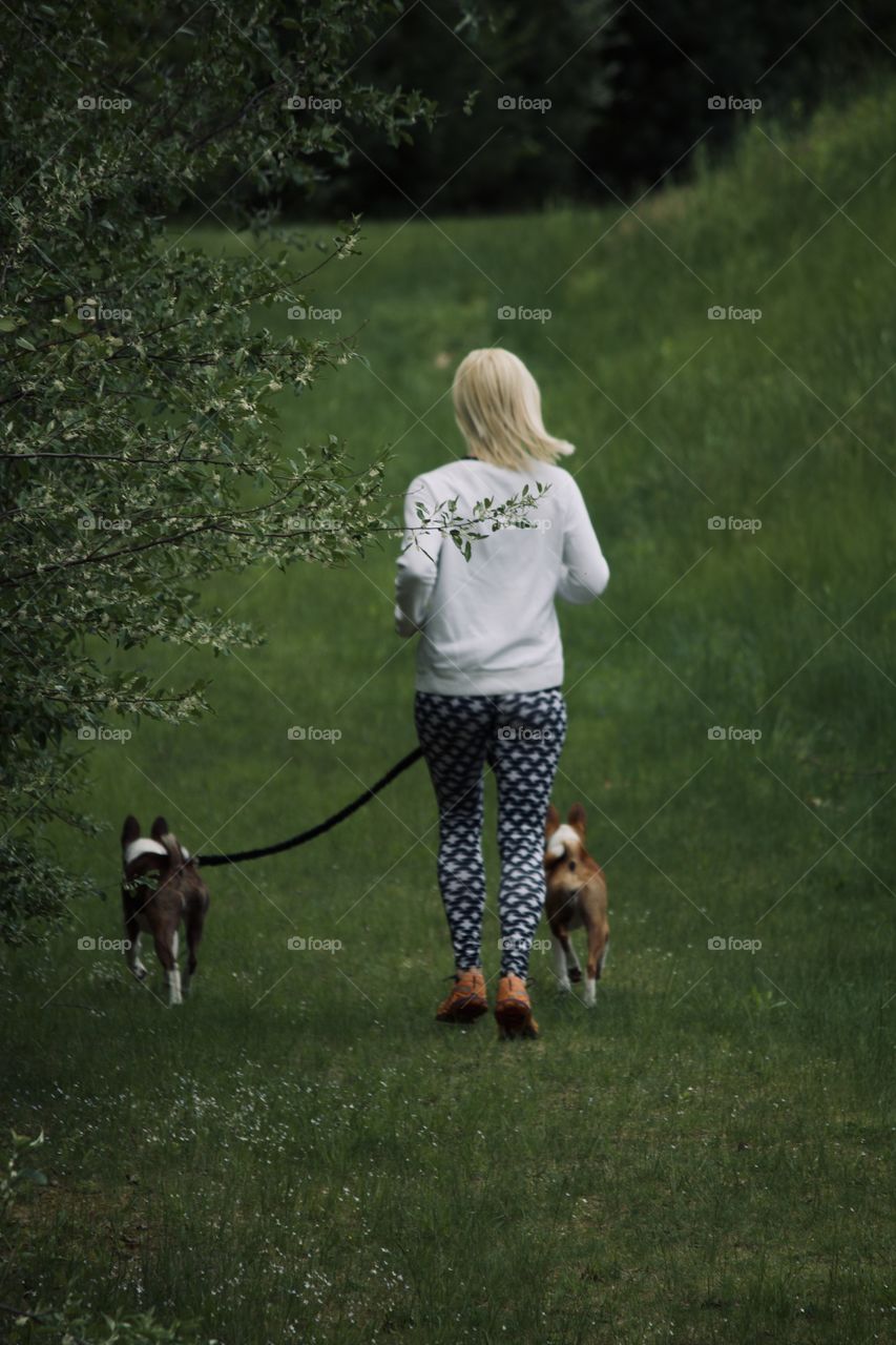 Walking the dogs 