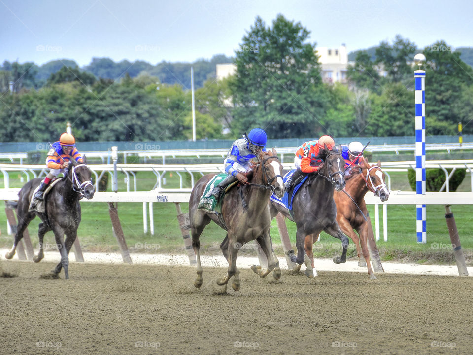 Melodic. Melodic winning a stake race for fillies at Belmont Park. 
available at:
zazzle. com/fleetphoto