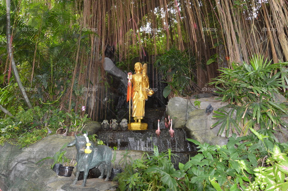 Tropical, Jungle, Nature, Wood, Leaf