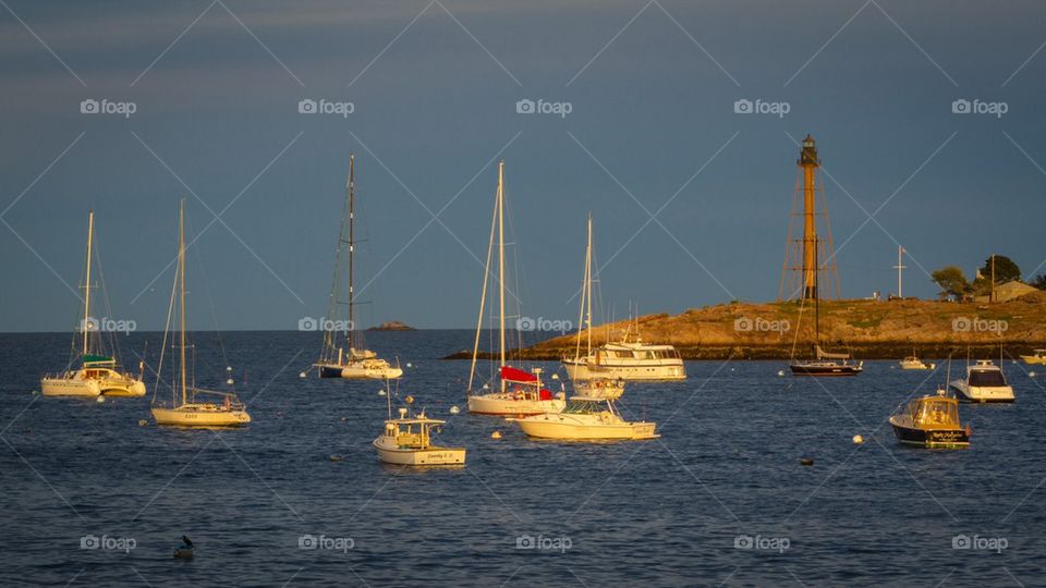 Boats in the marina 