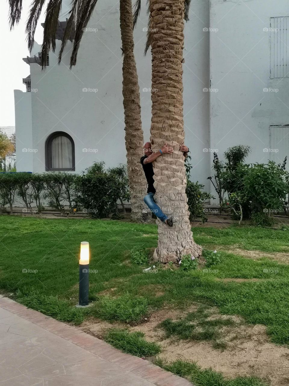 Хочу обратно