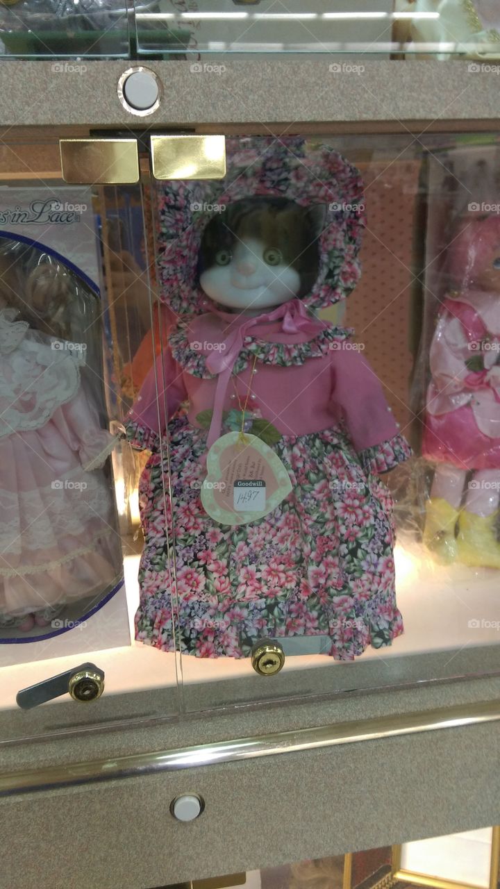 Lady Kittengton Doll