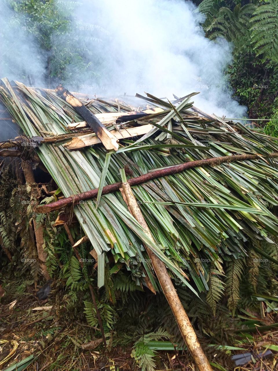 forest hunting residence in the interior of West Papua. This is a custom from the ancestors and the current generation is still maintained, especially the mountain people.