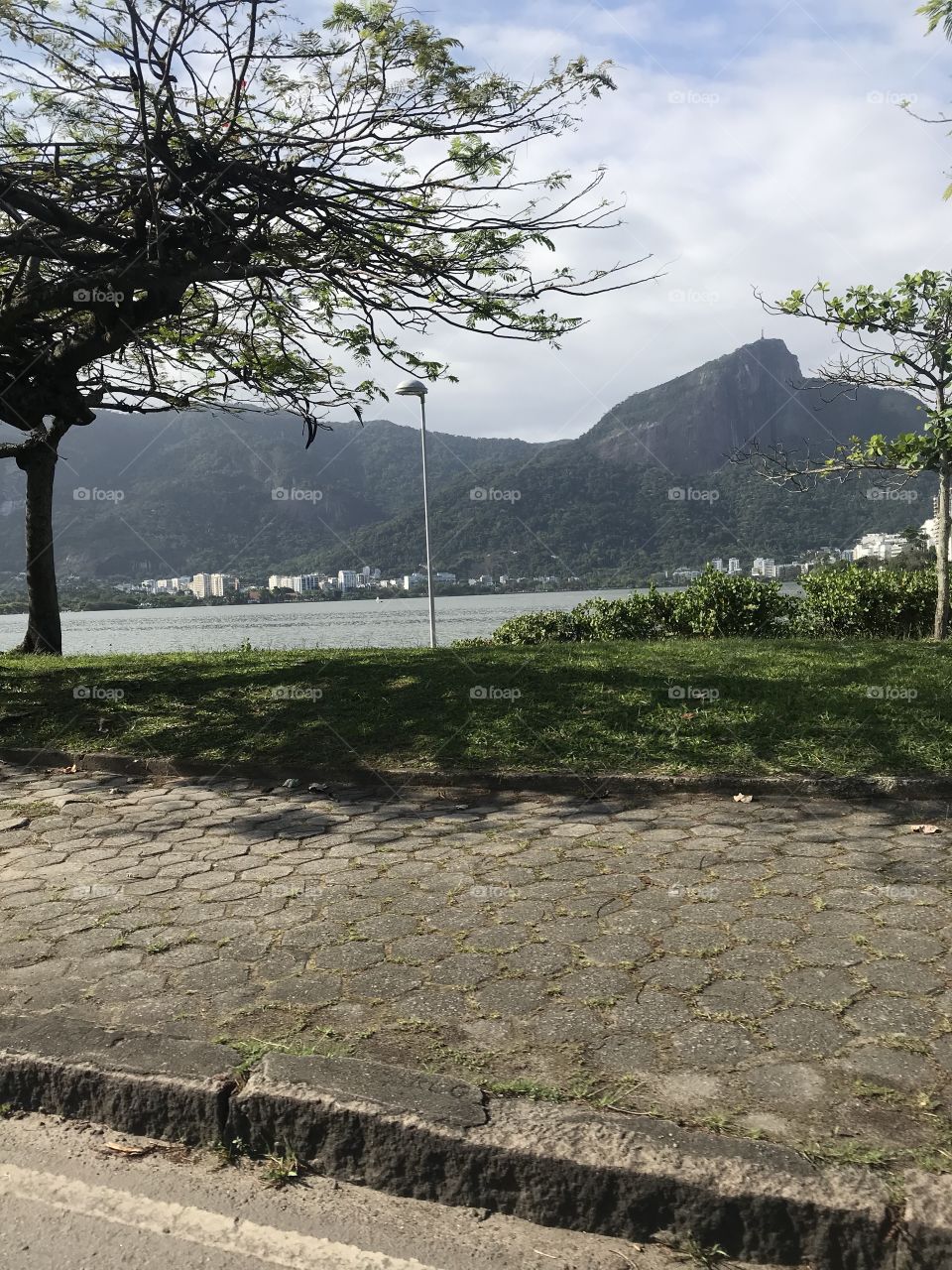 Nature snaps inside Rio beautiful City