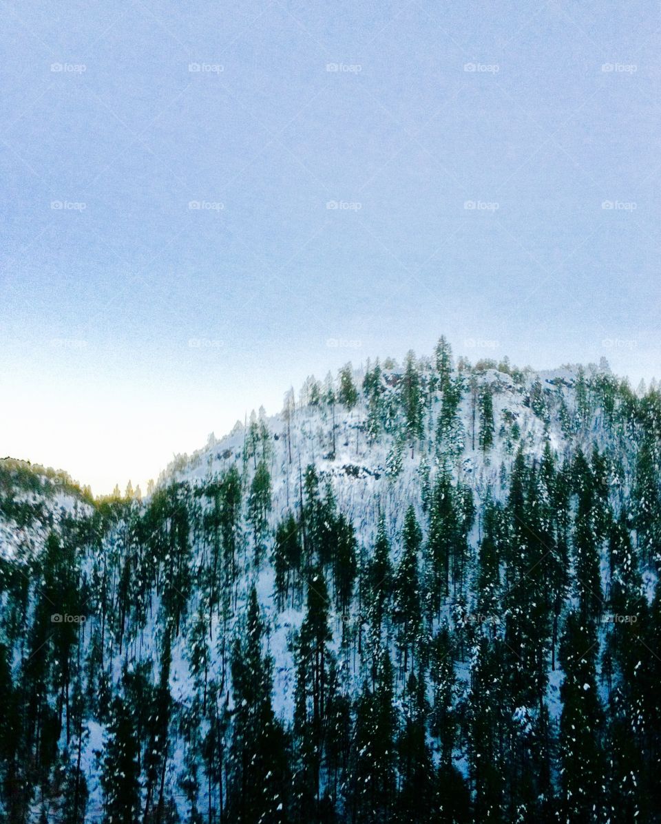 Snow covered mountains 