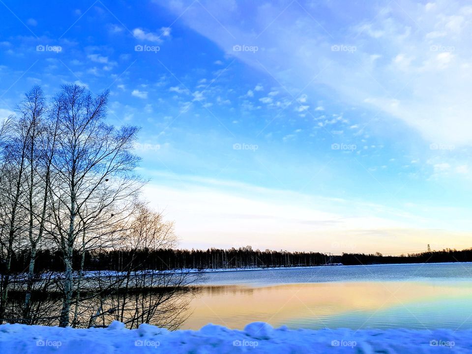 winter day in december