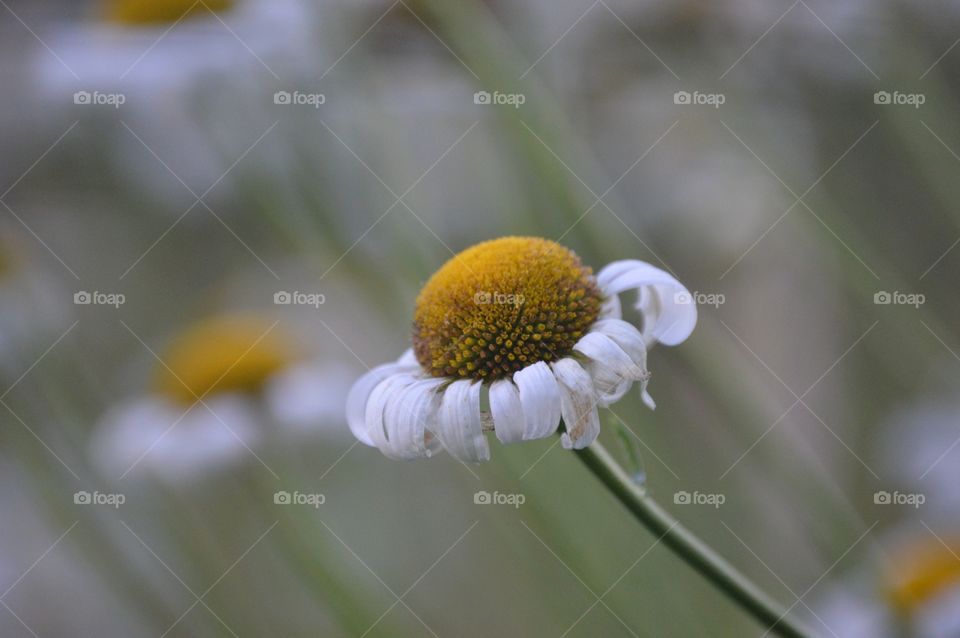 Don't be afraid to stand out from the crowd. 💛💚💛