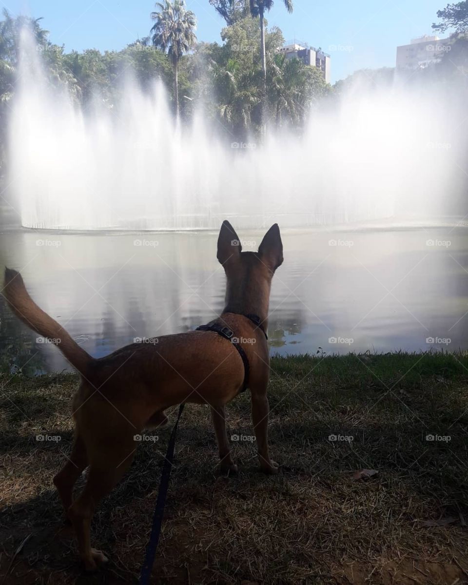 Passeio com a família 