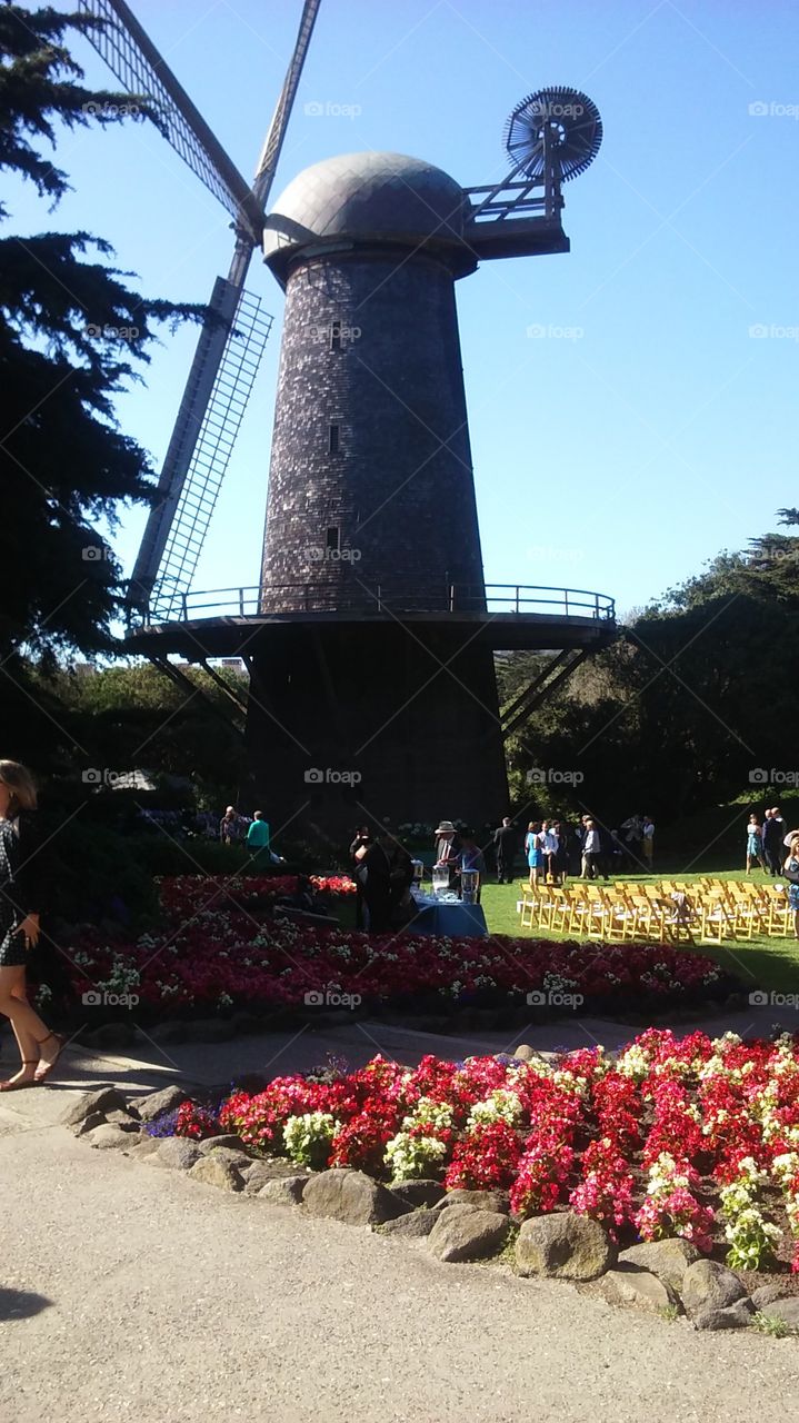 windmill in the park