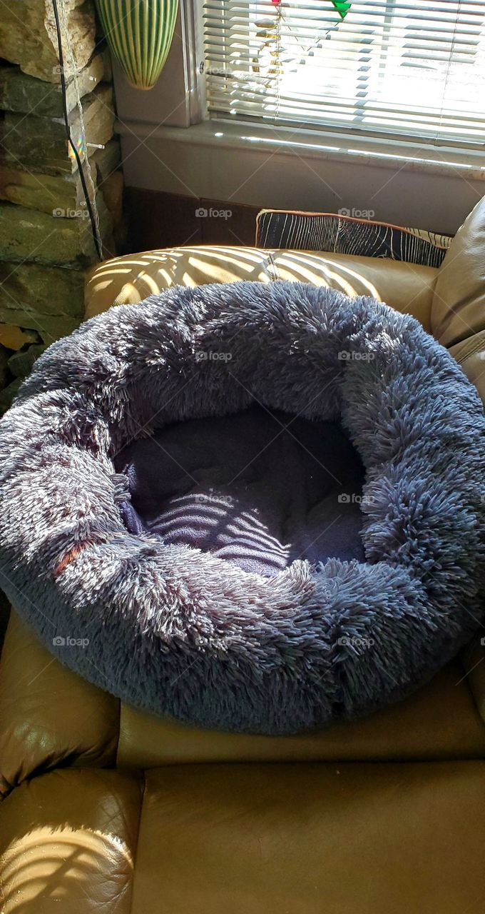 Empty cat bed on couch in window light.