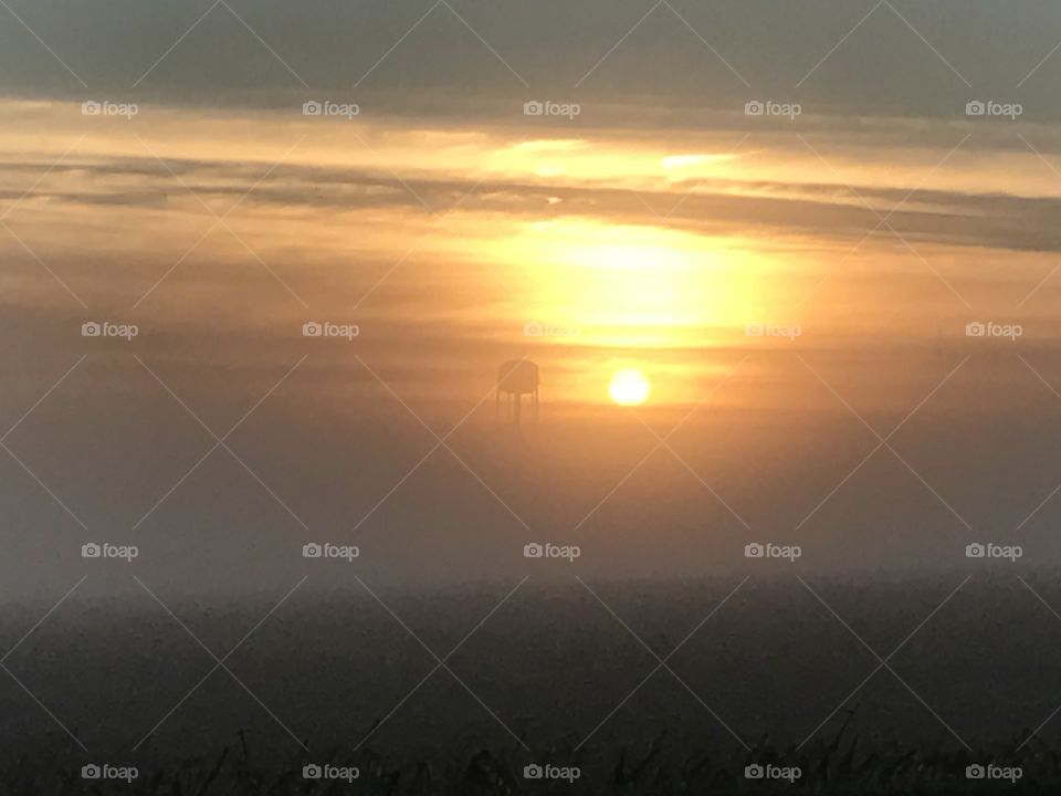 This is looking out over a foggy corn field towards the sunrise with the water tower's silhouette.