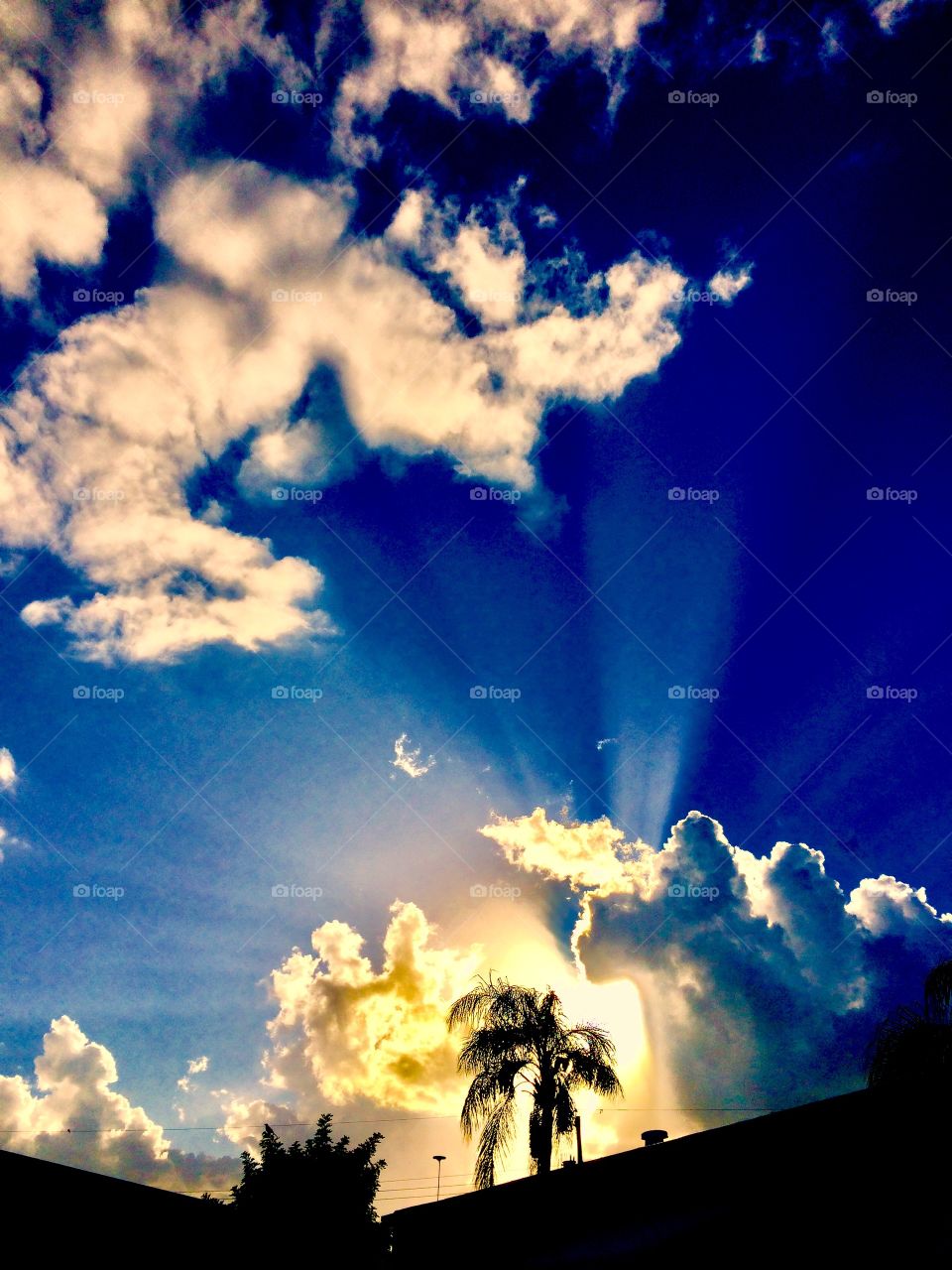 Sun rays clouds