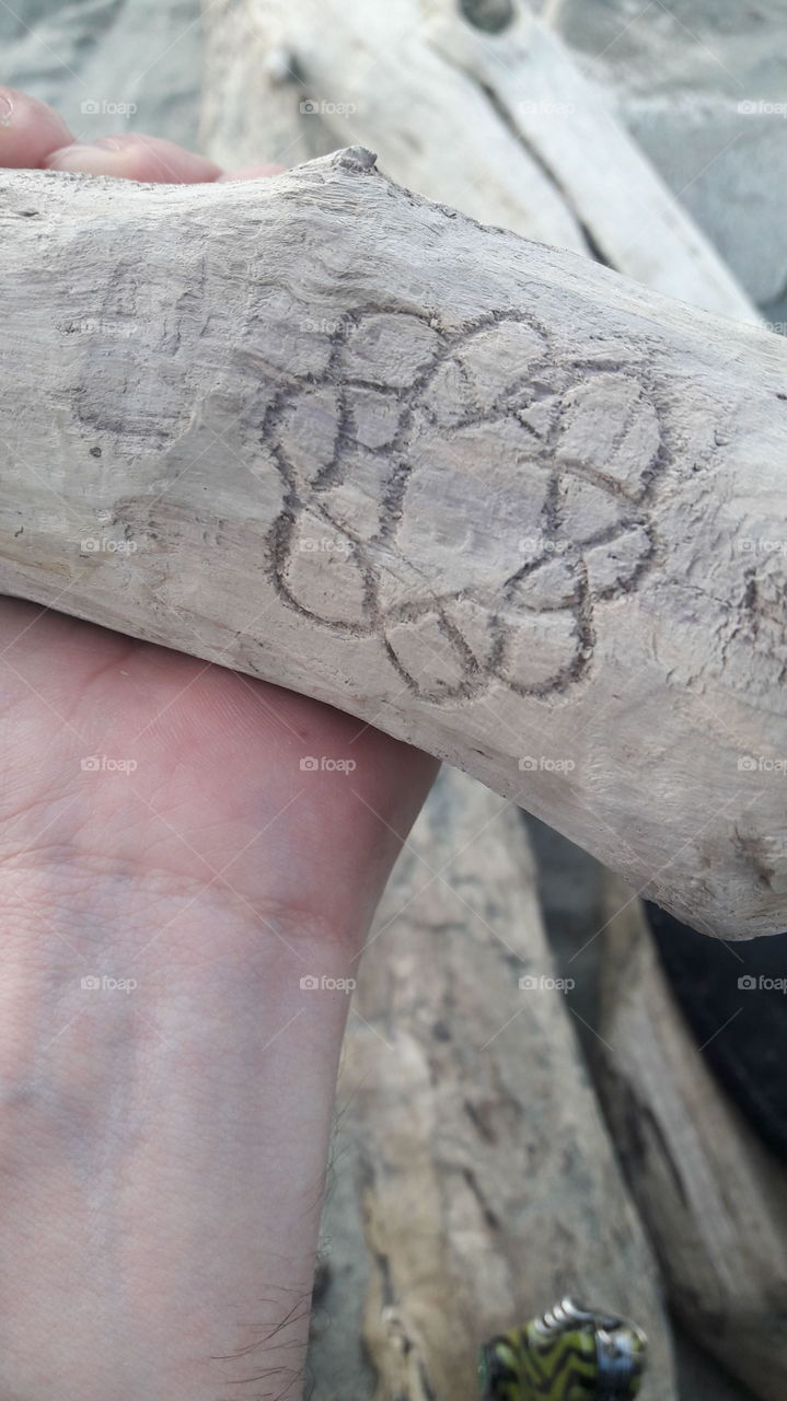 loto's flower with my hands