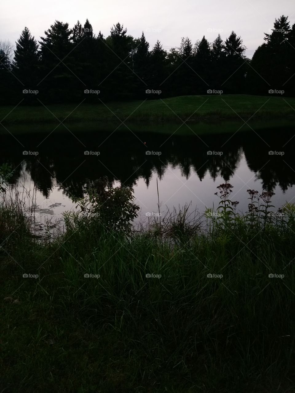 Reflection of the pond in the evening