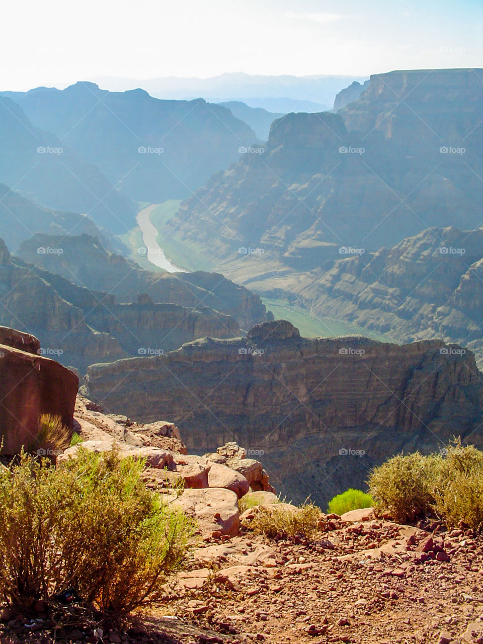 The Grand Canyon 