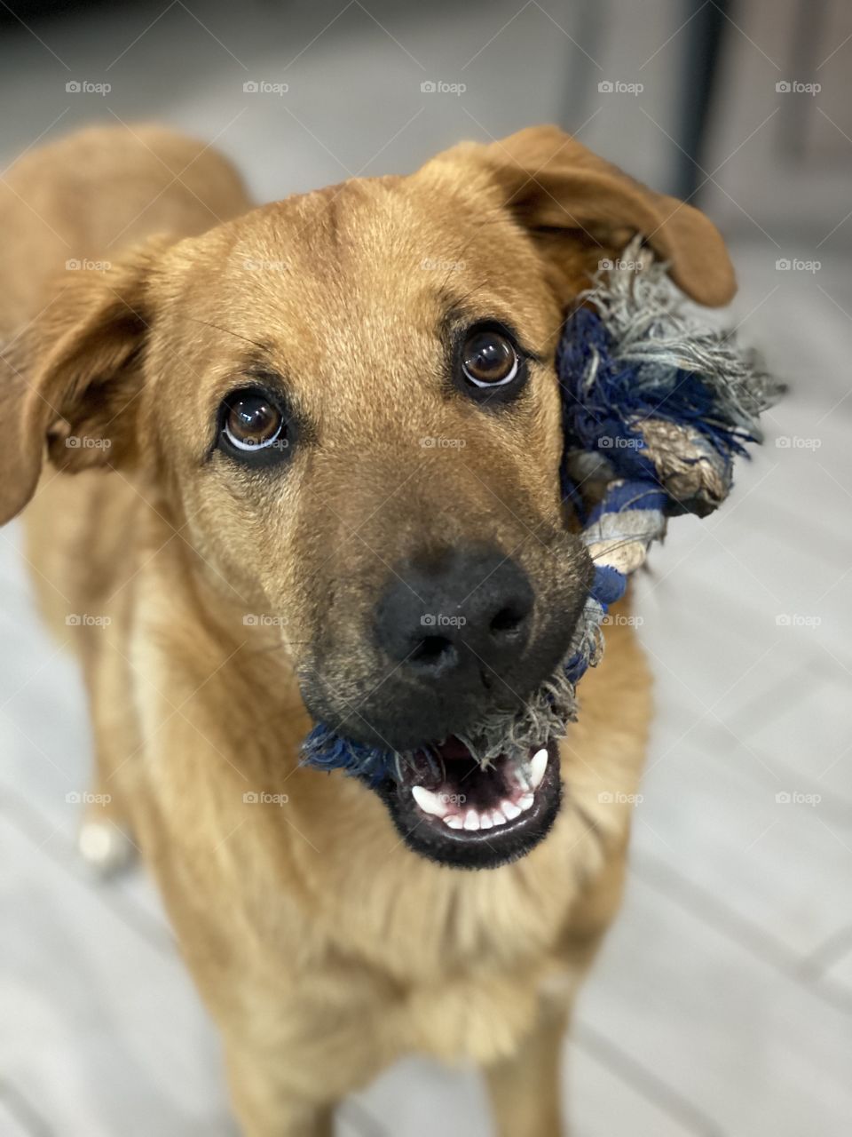 That look, everything.