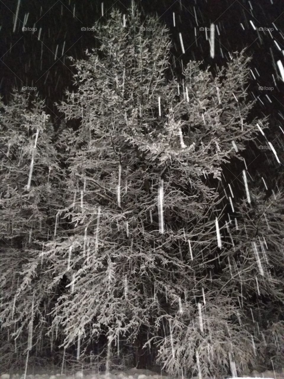 Falling snow at night