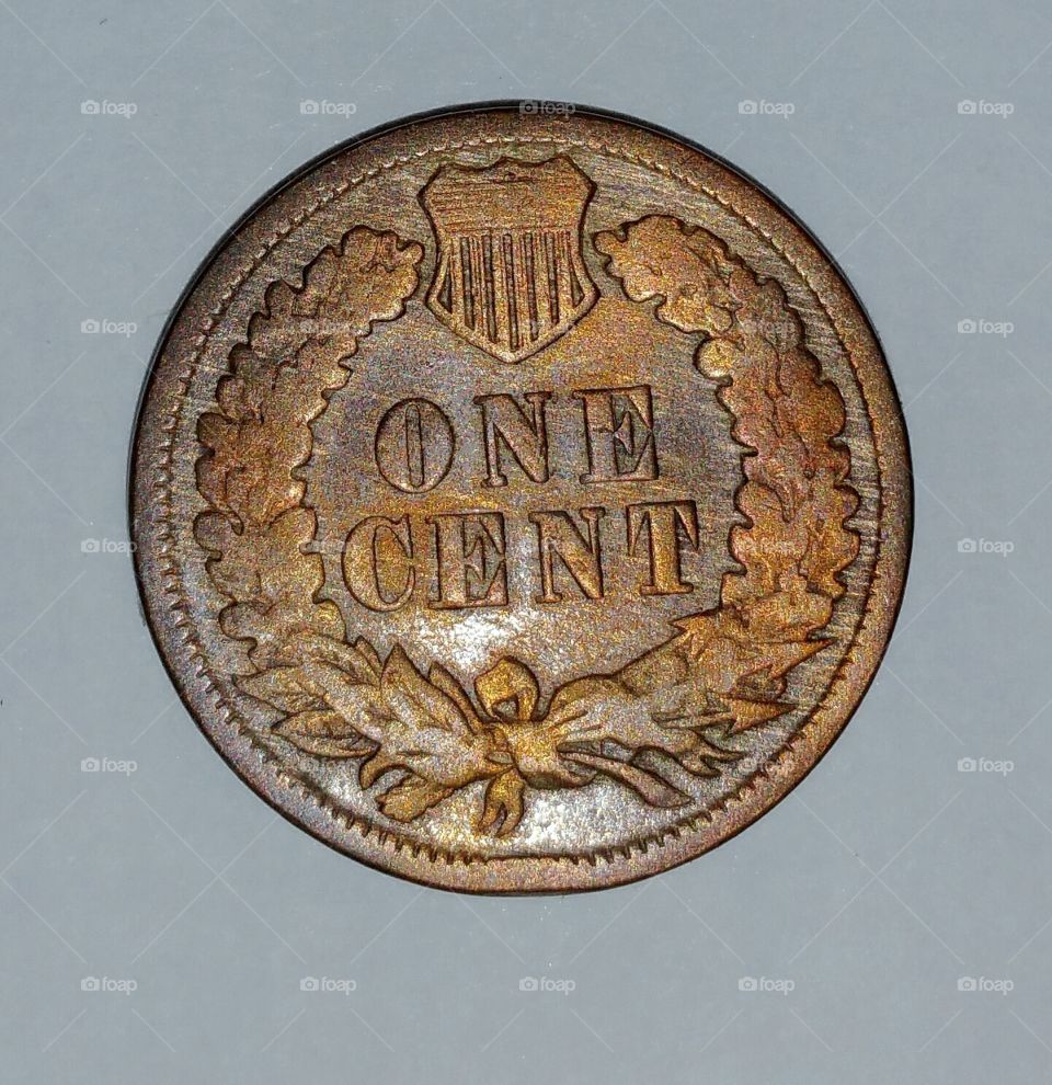 1890 Indian head penny - back