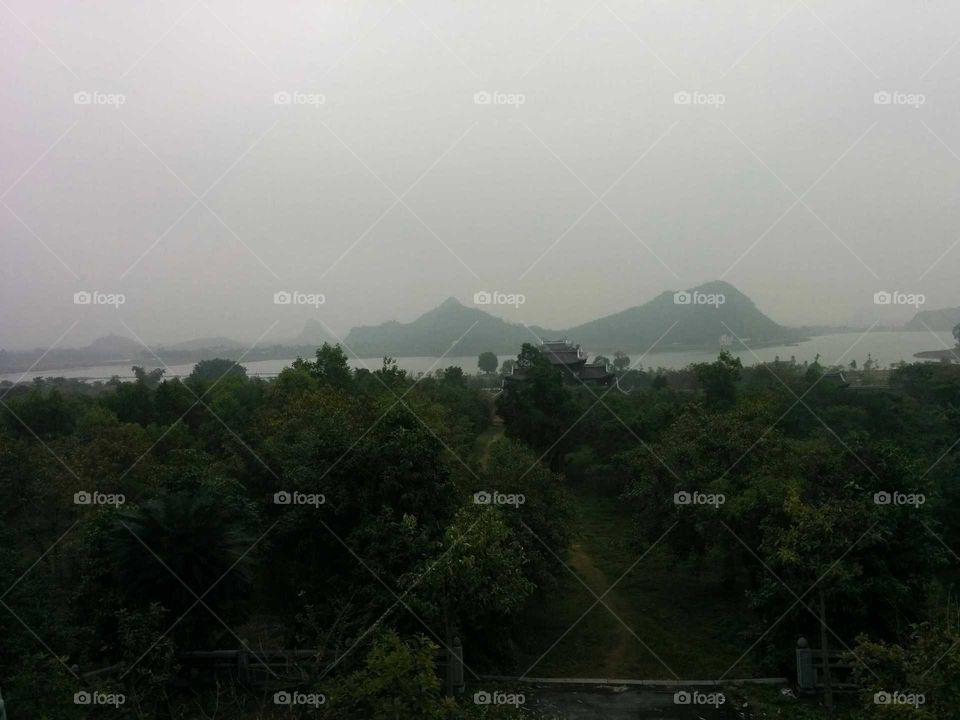Fog, Landscape, Mountain, Tree, Mist