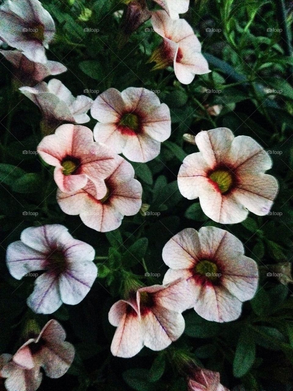 Just before day break