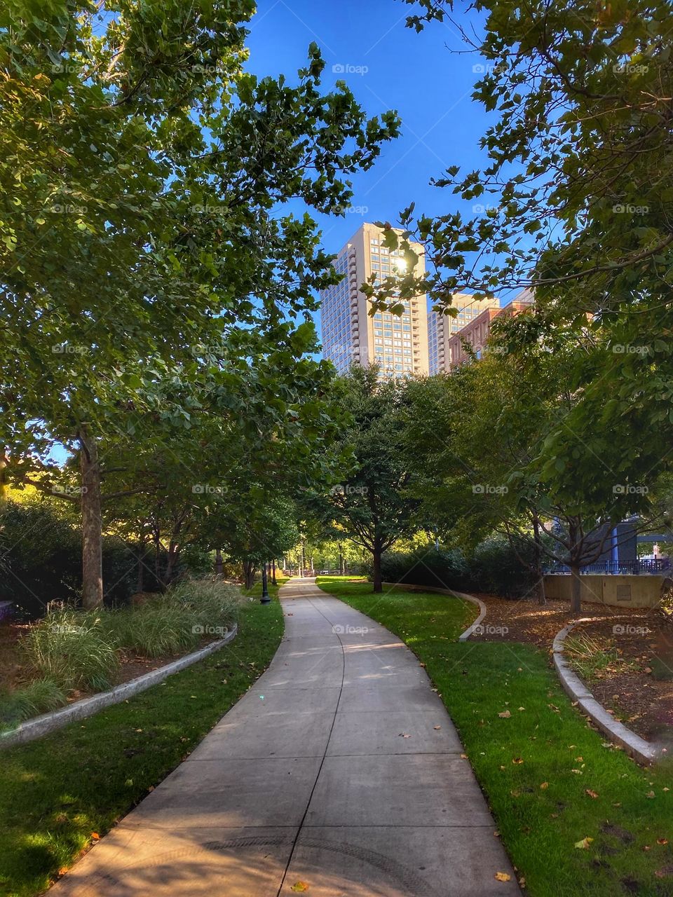 Empty walkway during the early morning hours on the Boston Common.  Quiet moment in the city. 