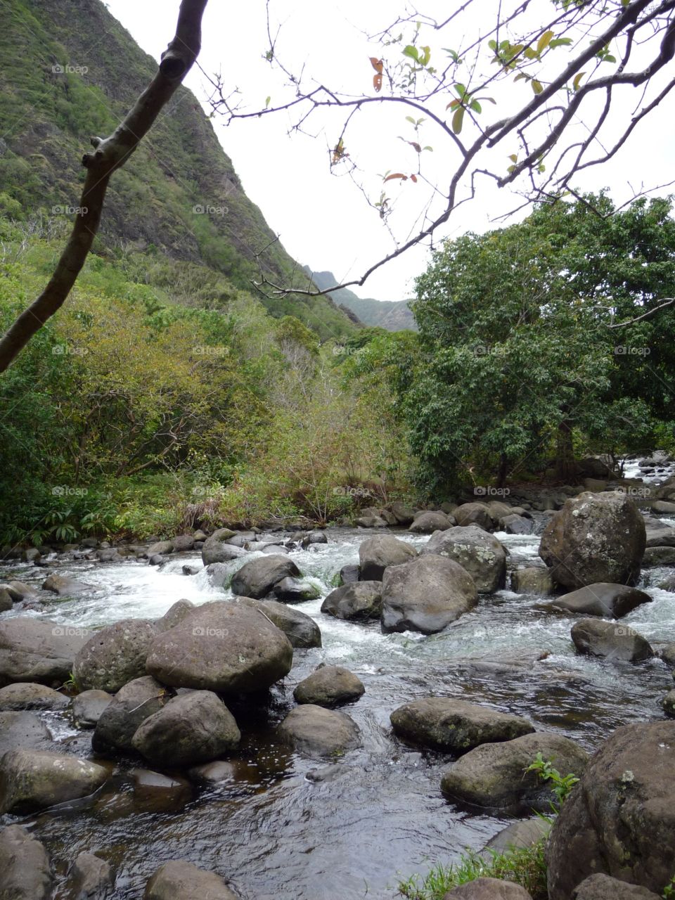 Maui, Hawaii 