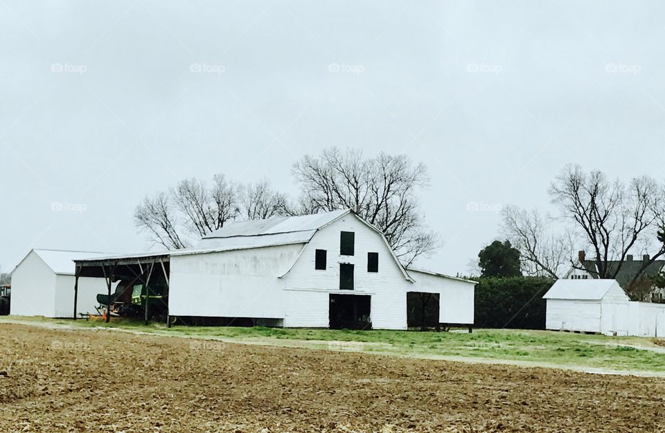 Farm with White Barn