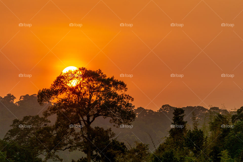 Sunset at Cat Tien National Park, Vietnam.