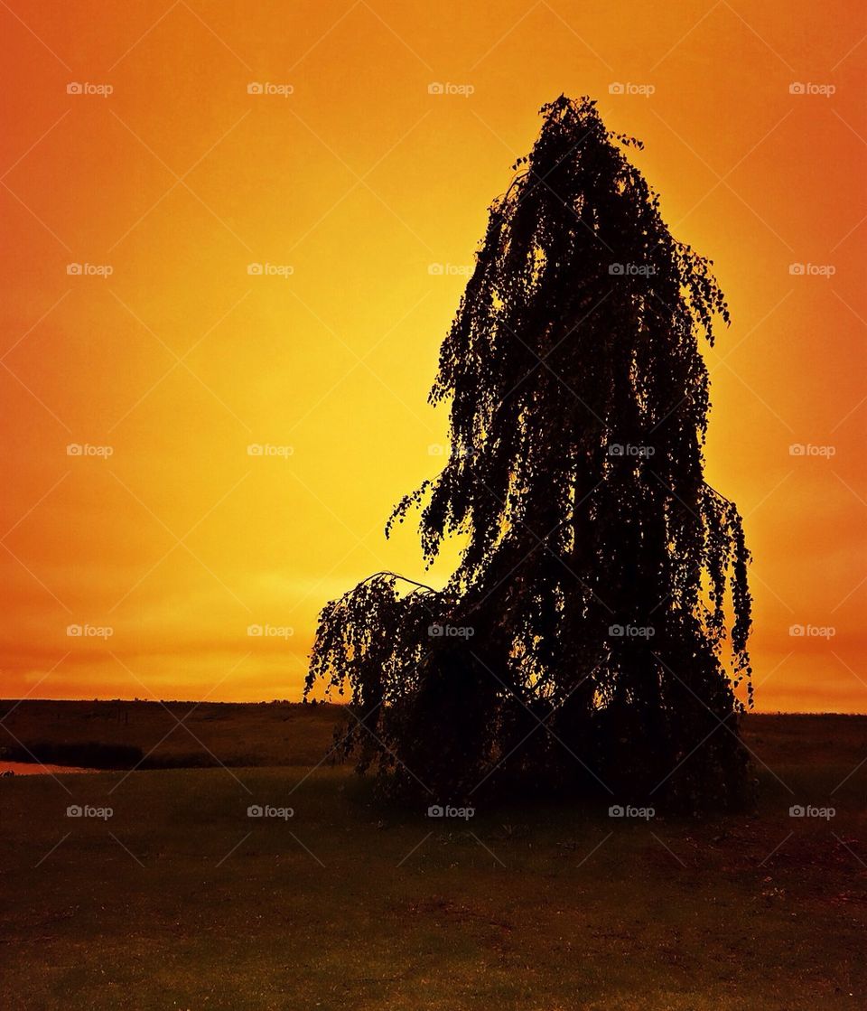 Tomorrow Should Wait