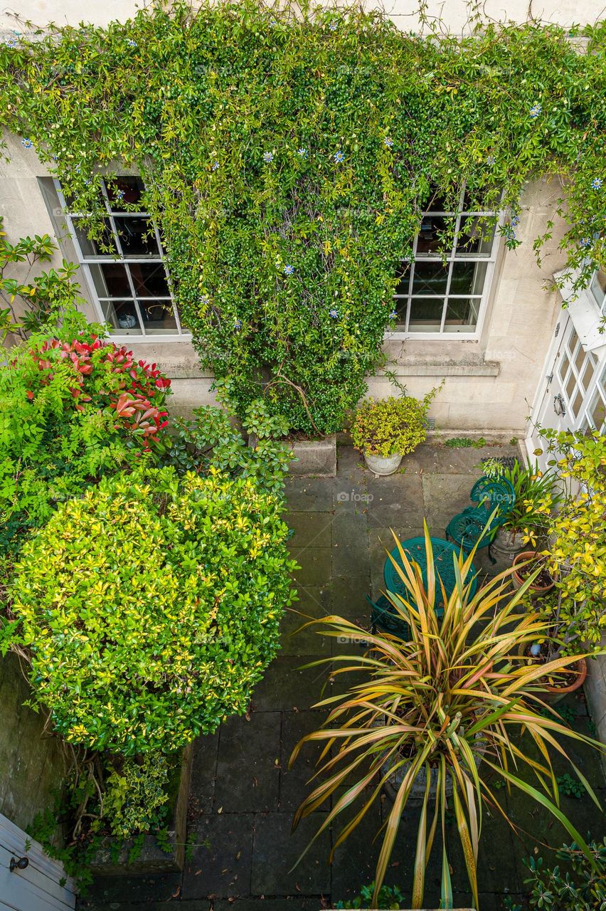 Above view at enclosed small courtyard garden with potted plants and shrubs.
