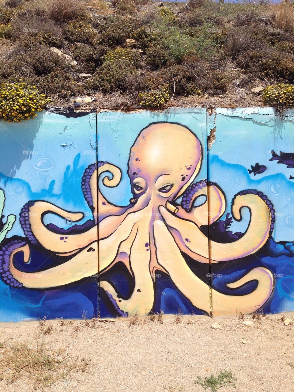 Beach Graffiti