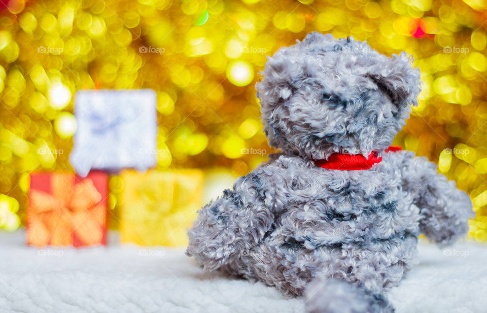 Christmas presents and a bear