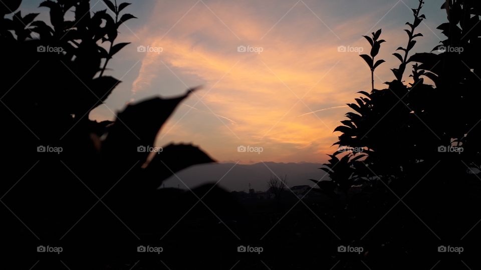 sunset from my garden