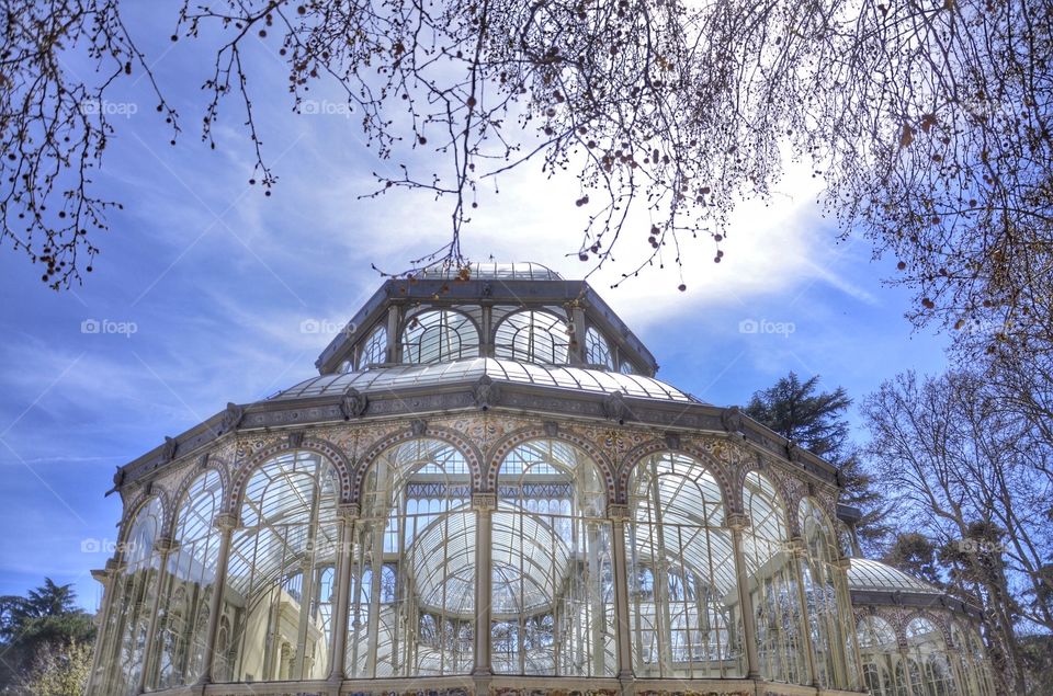 Windows of Cristal palace