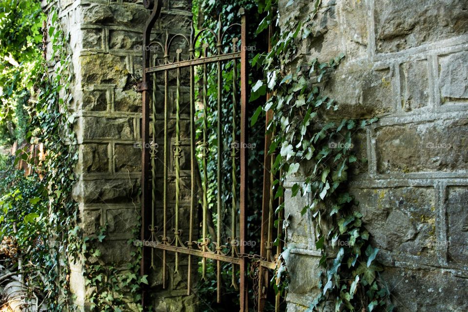 Door in the old park