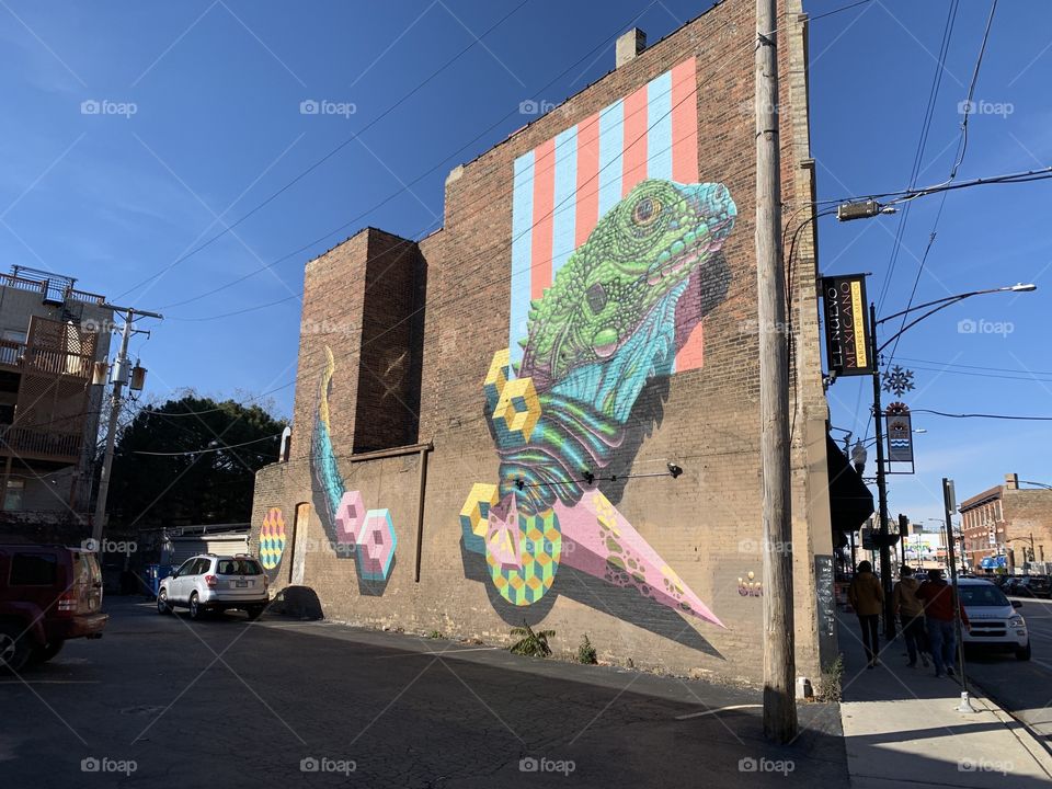 Iguana Street Art