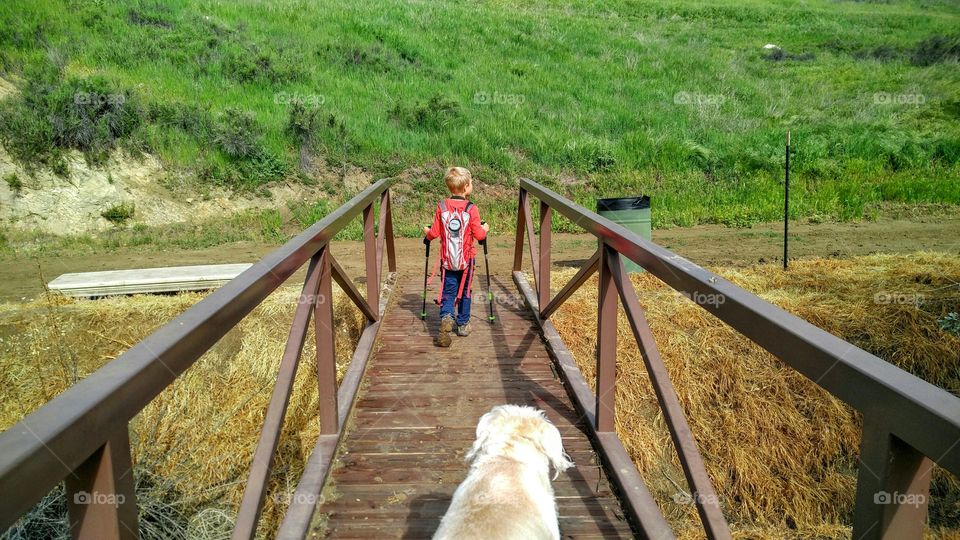 Safely to the other side