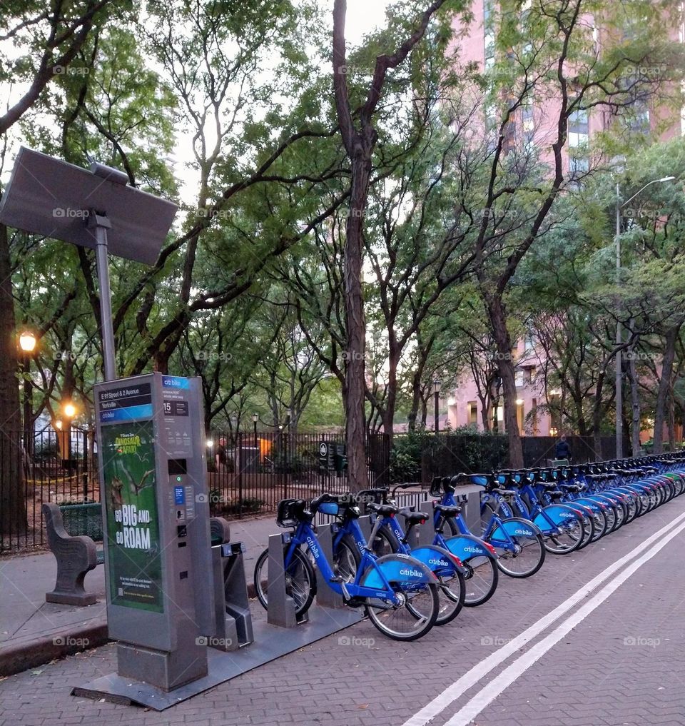 Citi Bikes NYC Near Outdoor Park