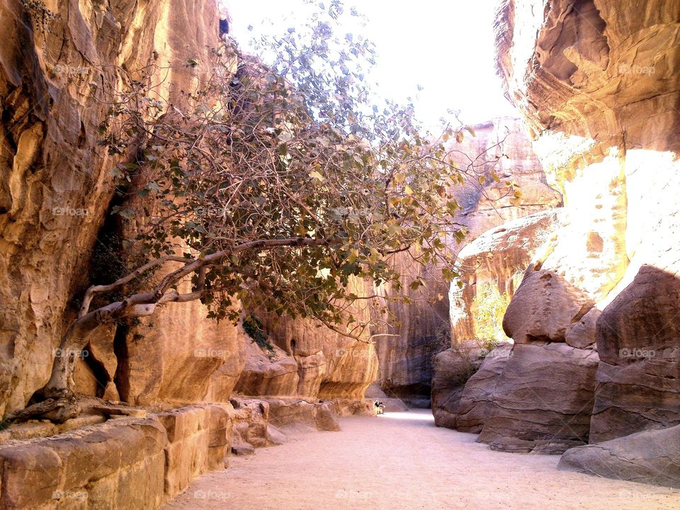Sun ray through Petra's rock