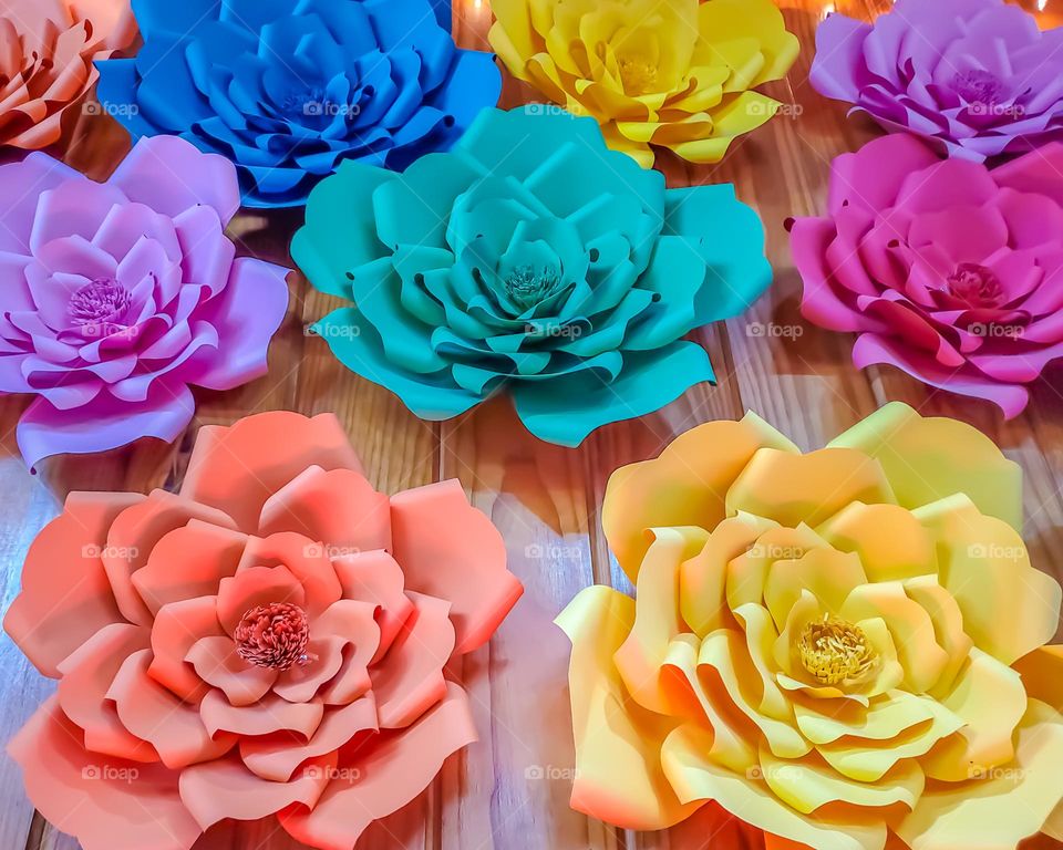 Colorful large paper flowers