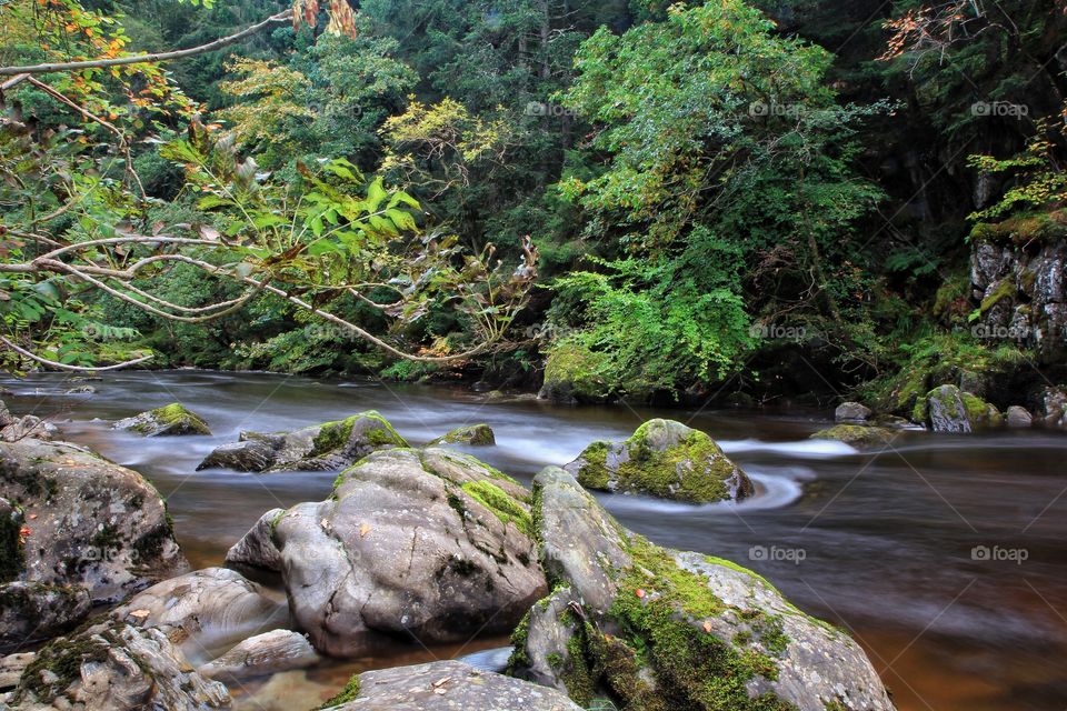 Floating river in the autumn