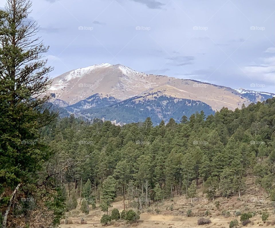 Snowy Mountain in The Forest of Ruidoso NM 